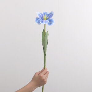 Large-Flower Tulip (Blue)