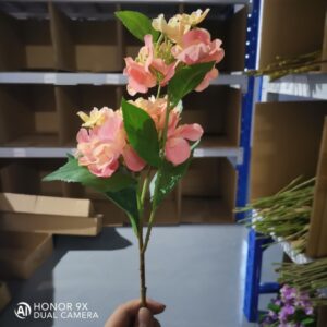 2-Head Hydrangea (Champagne)