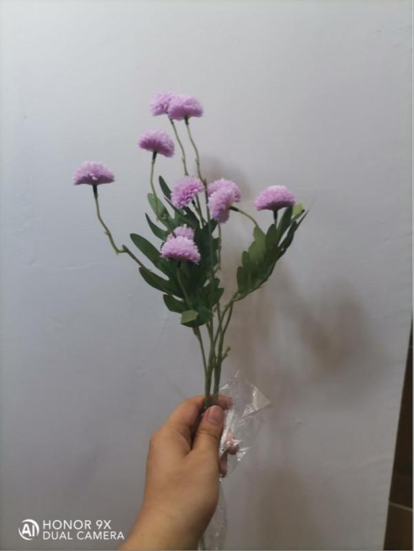Dahlia Hydrangea (Purple)