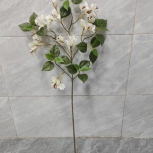 Single-Branch Bougainvillea (White)