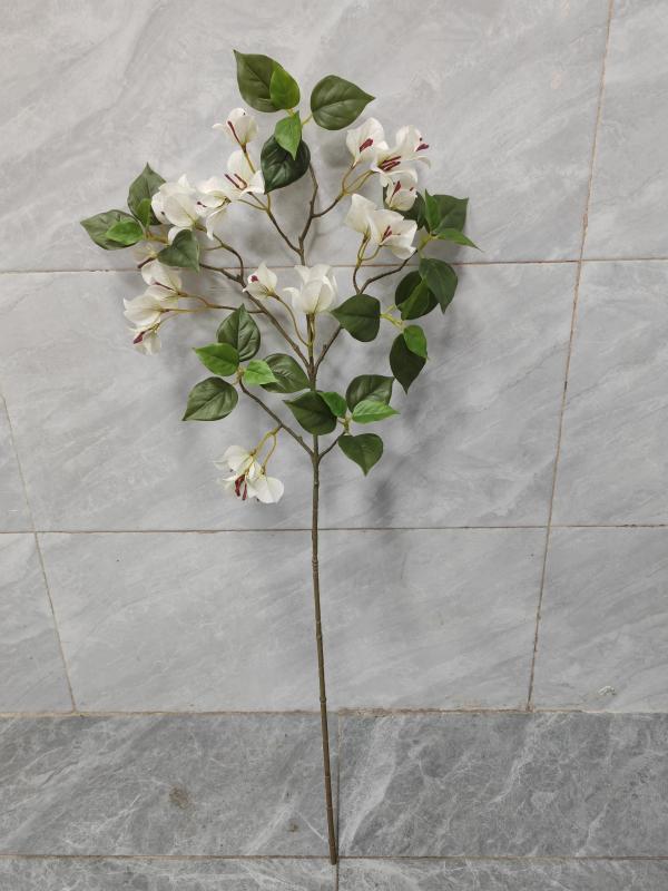 Single-Branch Bougainvillea (White)