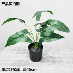 Polka-Dot Leaf Potted Plant
