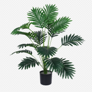 Areca Palm Potted Plant
