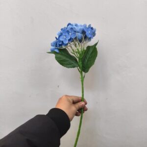 Small Western Hydrangea (Blue)