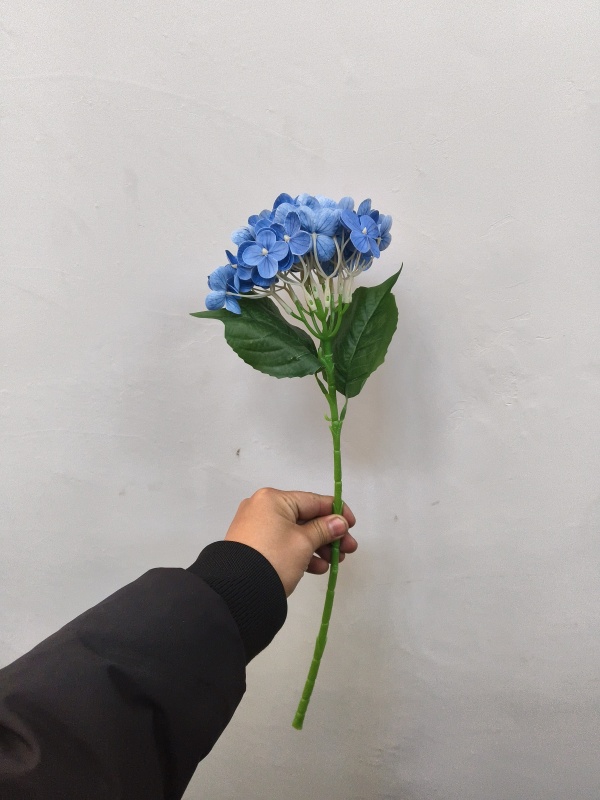 Small Western Hydrangea (Blue)