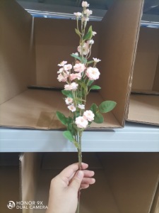 Rosa Flower (Pink)