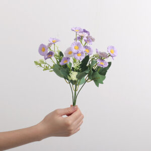 Small Zhi Chrysanthemum (Purple)