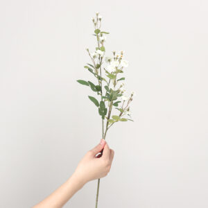 Rosa Flower (White)
