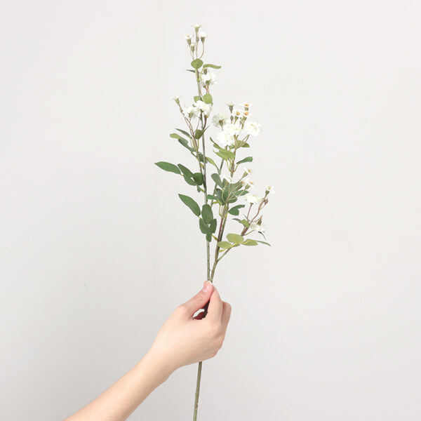Rosa Flower (White)