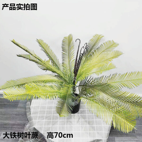 Large Cycad Fern Leaf Potted Plant