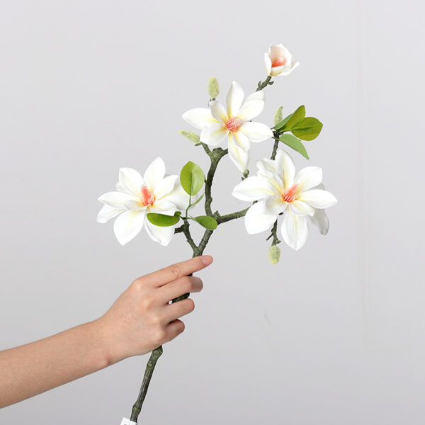 West Lake Magnolia (Milky White)