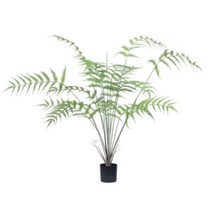 Fern Leaf Potted Plant (Large)