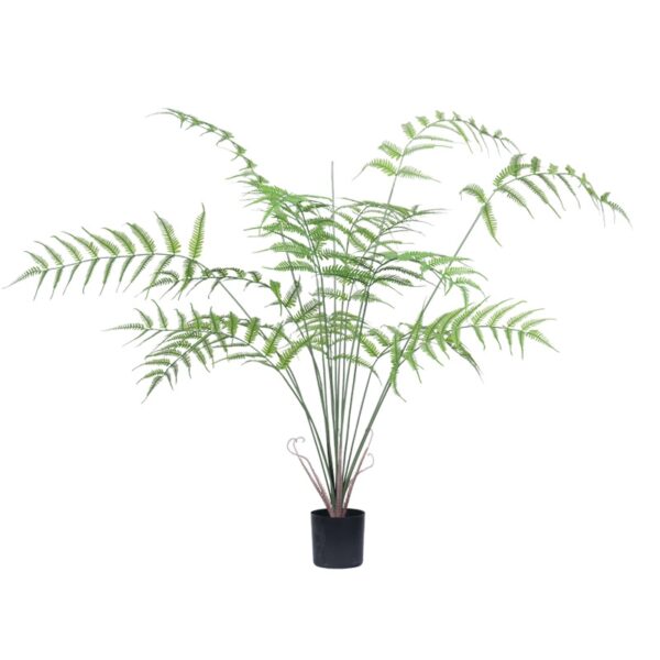 Fern Leaf Potted Plant
(Large)