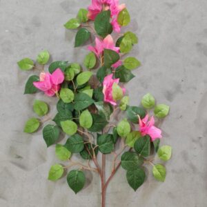 3-Branch Bougainvillea (Pink)