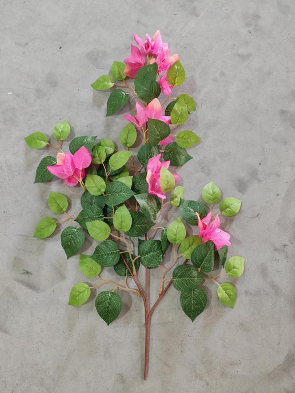 3-Branch Bougainvillea (Pink)