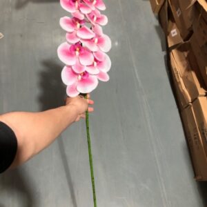 Real-Touch Coated Phalaenopsis Orchid (White and Pink)