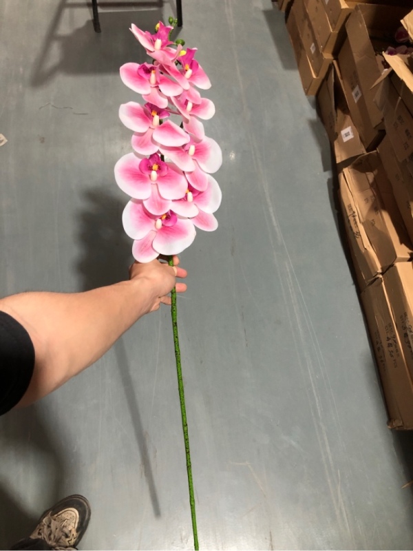 Real-Touch Coated Phalaenopsis Orchid (White and Pink)