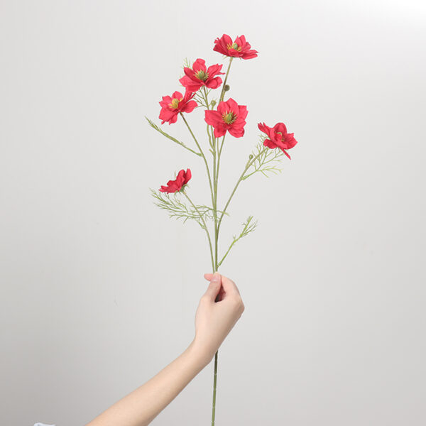 Love-in-a-Mist (Red)