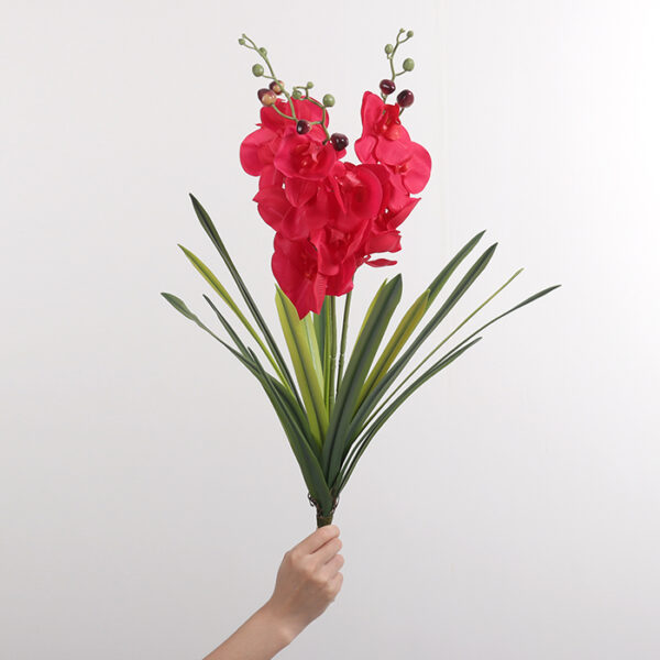 Large 18-Leaf, 3-Head Phalaenopsis Orchid