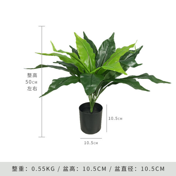 Green Magnolia 50CM (Includes Black Base)