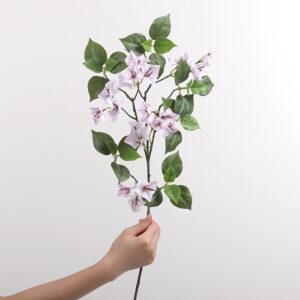 Single-Branch Bougainvillea (Light Pink)