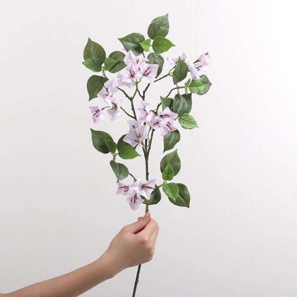 Single-Branch Bougainvillea (Light Pink)
