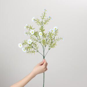 Tall-Stem Small Chrysanthemum (Blue)
