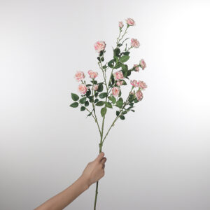 Extra-Large-Stem Bubble Rose