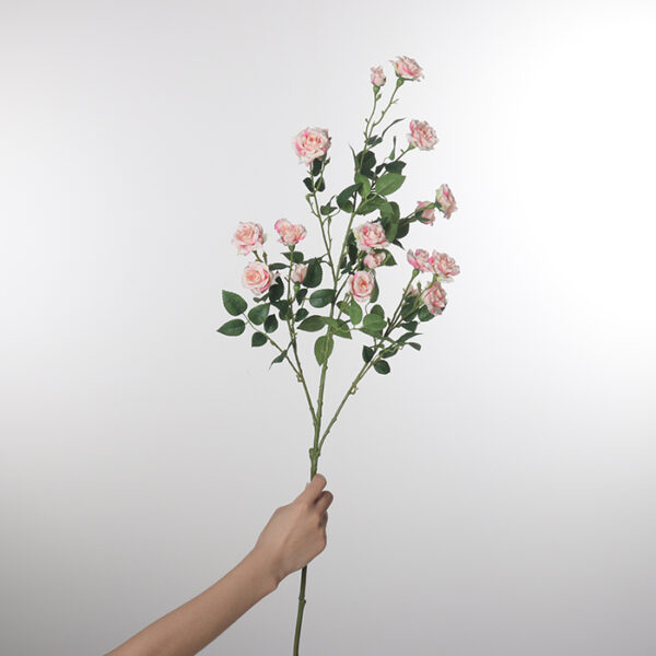 Extra-Large-Stem Bubble Rose