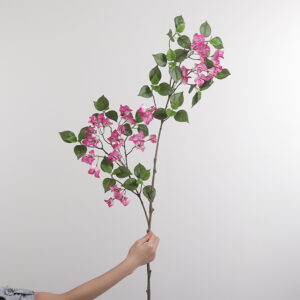 Two-Branch Bougainvillea (Magenta)