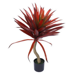 Red Agave (Large)