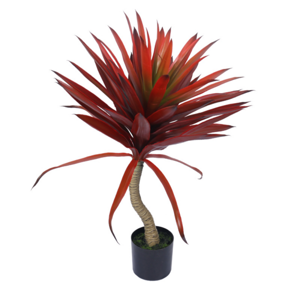 Red Agave (Large)