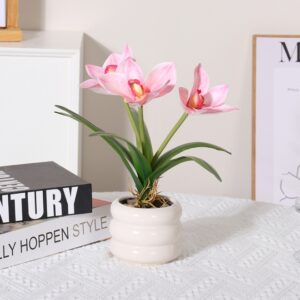 Pink Cymbidium Potted Plant, 6 Leaves