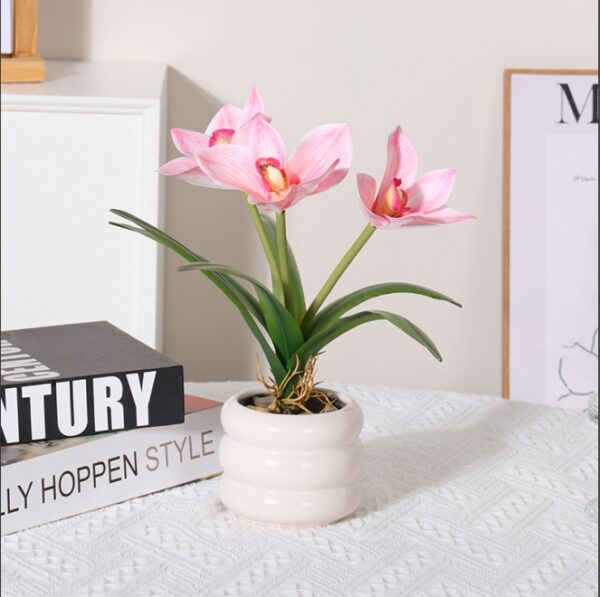 Pink Cymbidium Potted Plant, 6 Leaves