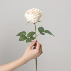 Real-Touch Austin Rose (Champagne)