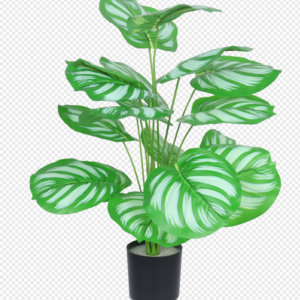 Apple Leaf Potted Plant (Large)