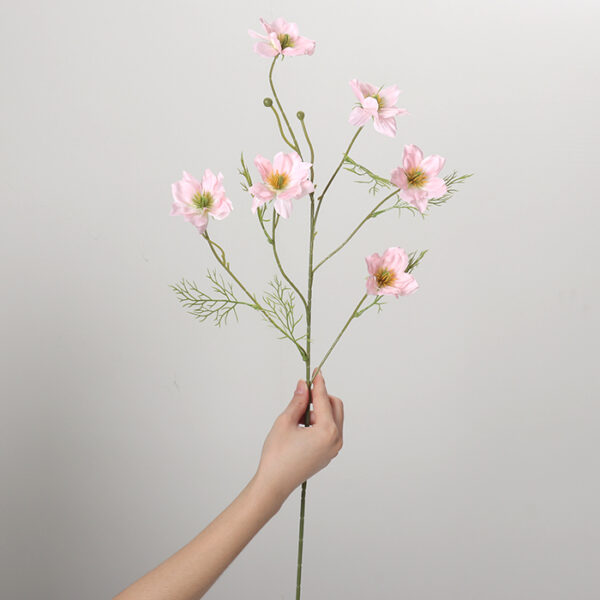Love-in-a-Mist (Pink)