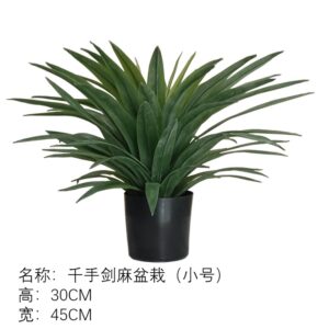 Thousand-Hands Sisal Potted Plant (Small)