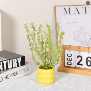 Herb Bundle Potted Plant