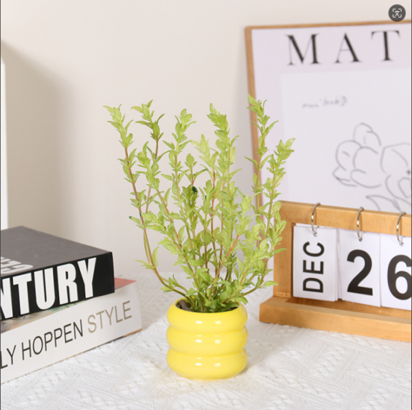 Herb Bundle Potted Plant