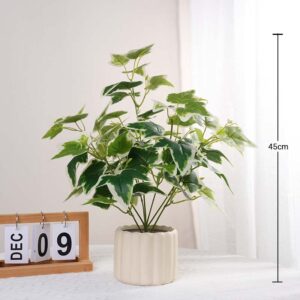 45CM Large-Branch White-Edged Sweet Potato Potted Plant