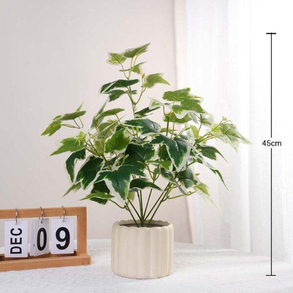 45CM Large-Branch White-Edged Sweet Potato Potted Plant