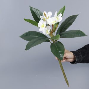 Artificial Frangipani, White