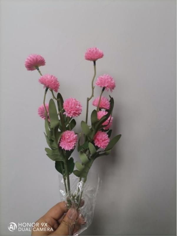 Dahlia Hydrangea (Pink)