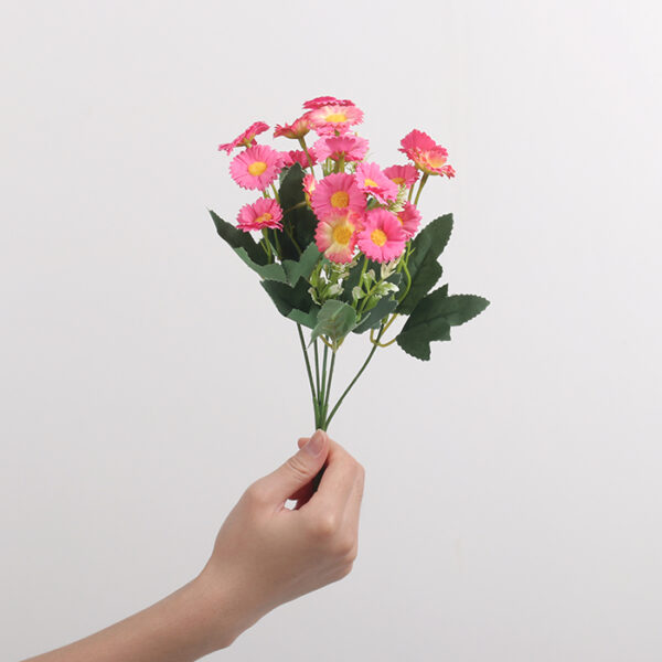 Small Zhi Chrysanthemum (Magenta)