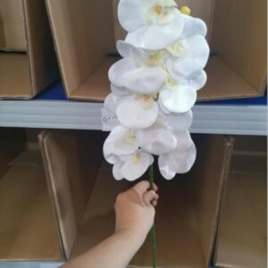 Real-Touch Coated Phalaenopsis Orchid (White)