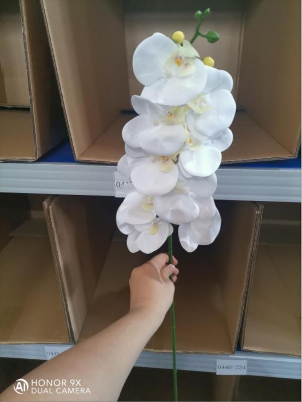 Real-Touch Coated Phalaenopsis Orchid (White)