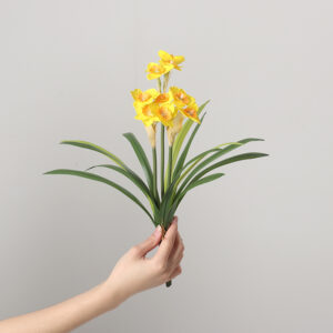 Soft-Rubber 3-Head Narcissus (Yellow)