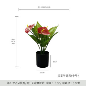 Small Anthurium Leaf Potted Plant