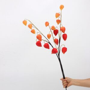 Multicolor Artificial Physalis Branches, Faux Chinese Lantern Flower Stems for Autumn Home Decor, Wholesale